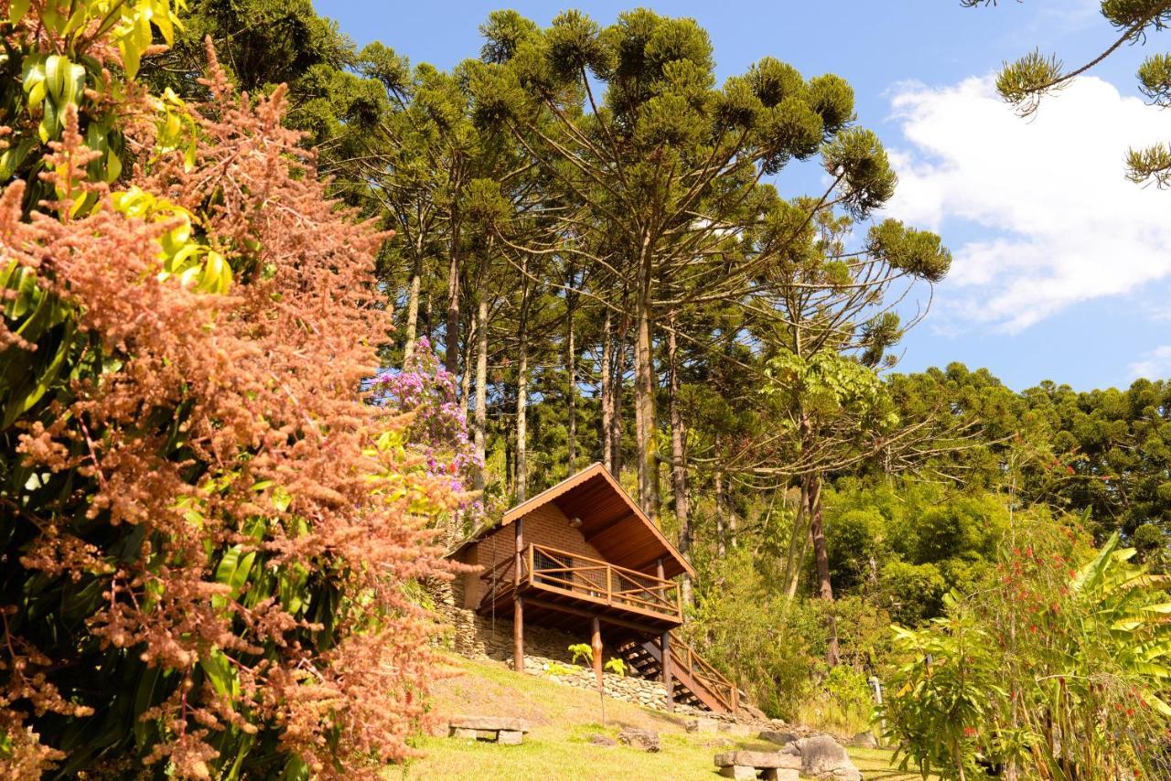Chales Araucaria E Manaca 상벤투 두 사푸카이 외부 사진