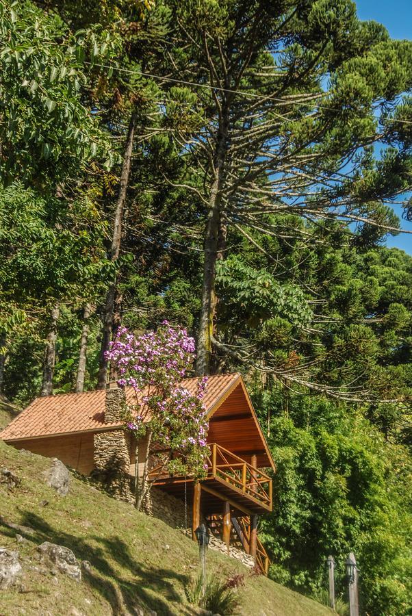 Chales Araucaria E Manaca 상벤투 두 사푸카이 외부 사진